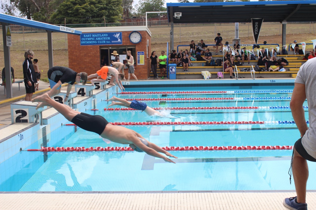 swimming_carnival swimming carnival race